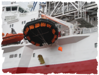 Liferaft handling cranes